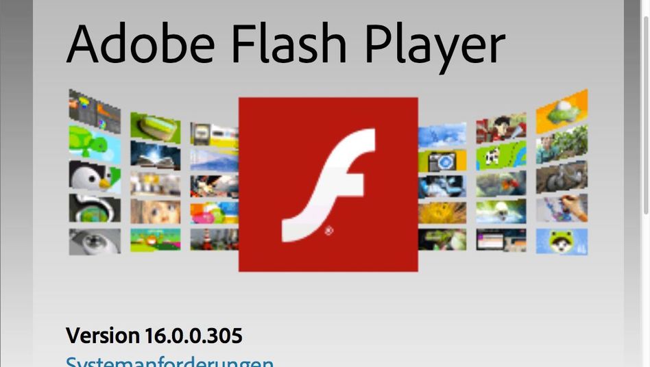 NUR ALS ZITAT Screenshot/ Adobe Flash Player
